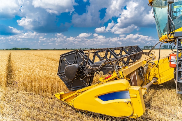 Kombajn zbożowy w akcji na polu pszenicy. Proces zbioru dojrzałych plonów z pól. Technika rolnicza w terenie. Ciężkie maszyny w akcji.