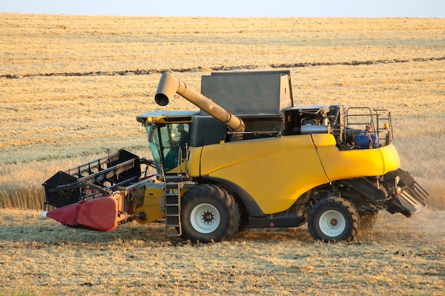 Kombajn zbożowy zbiera pszenicę na polu. agronomia i przemysł zbożowy