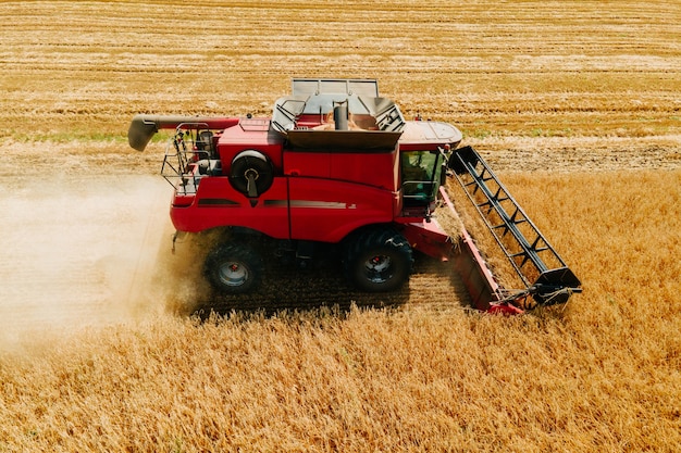 Kombajny Zbożowe Zbierają Pszenicę Na żółtym Polu Kombajn Pracujący W Polu Widok Z Góry Widok Z...