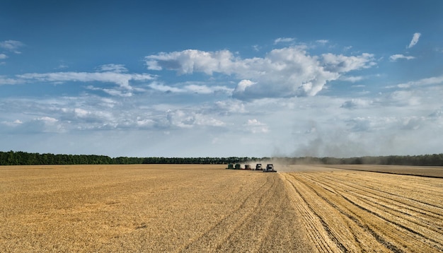 Kombinacja kombajnera na polu przeciwko niebu na farmie podczas zachodu słońca