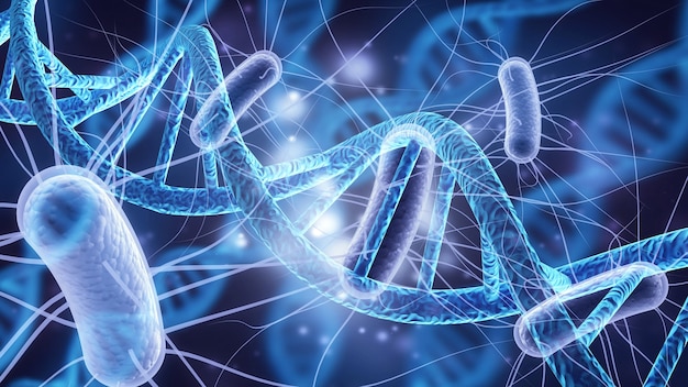 komórka komórka ludzka komórka zwierzęca nauka o komórce dna biologia komórka macierzysta