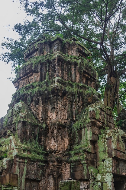 Kompleks Angkor Wat