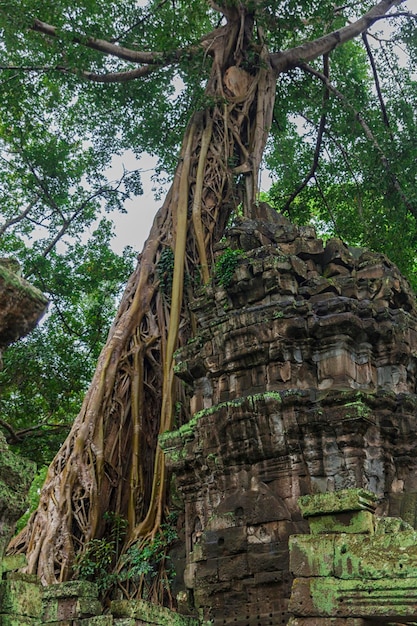 Kompleks Angkor Wat