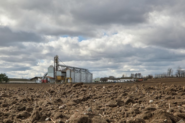 Kompleks rolno-przemysłowy z silosami i linią do suszenia i czyszczenia ziarna