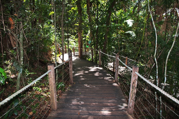 Kompleks rozrywkowy Kuranda w górach, Cairns, Australia