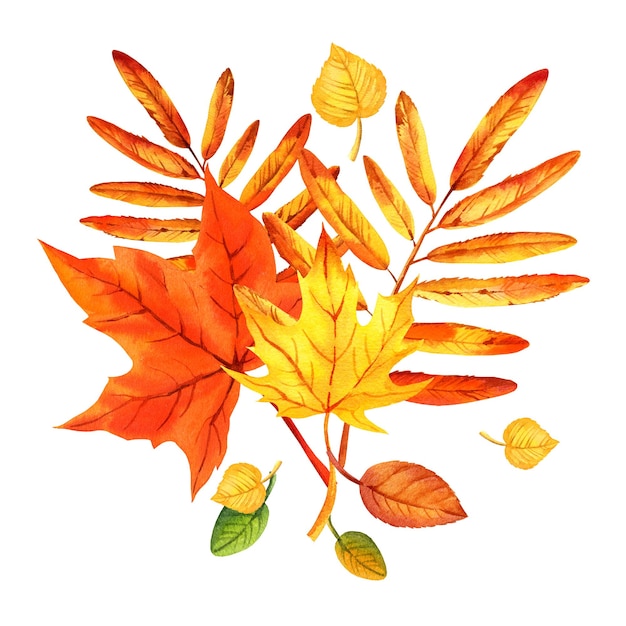 Kompozycja akwarelowa jesiennych liści bukiet z pomarańczowymi liśćmi klonu ręcznie narysowana ilustracja