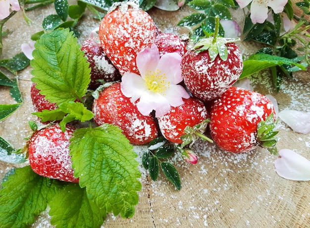 Kompozycja Dojrzałych Czerwonych Truskawek Na Drewnianym Pniu, Cukier Puder, Białe Kwiaty Dzikiej Róży I Trawnik. świeżo Zerwane Jagody W Jasny, Słoneczny Letni Dzień. Widok Z Boku, Zbliżenie, Kopiowanie Miejsca