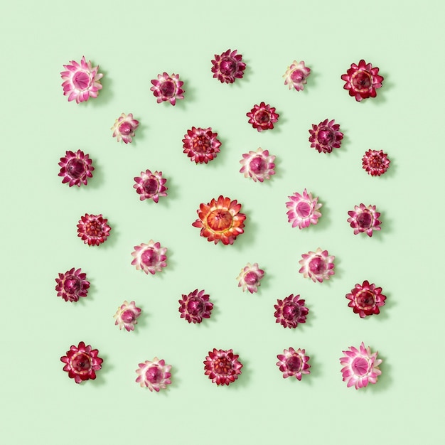 Kompozycja kwiatów. Kartkę z życzeniami z suszonych czerwonych kwiatów. Kwiatowy wzór