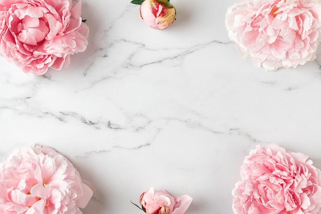 Kompozycja kwiatów wykonana z różowych kwiatów peonii na białym marmurowym tle płaski widok górny