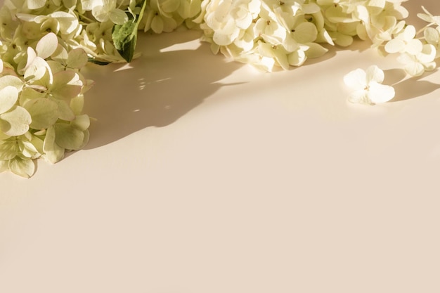 Kompozycja kwiatów z kwiatami hortensji na beżowym pastelowym tle Karta z zaproszeniem makieta Pusty szablon dla marki i reklamy Widok z góry płaska położona kopia przestrzeń
