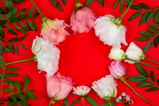 Kompozycja kwiatowa. Różowe i białe kwiaty na czerwonym tle. Walentynki. Leżał na płasko, widok z góry, miejsce na kopię.
