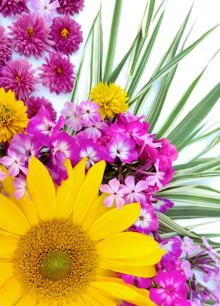 Zdjęcie kompozycja kwiatowa słonecznika i floksu