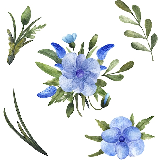 Kompozycja kwiatowa z akwarelowymi niebieskimi makami, anemonem i zielonymi liśćmi na białym tle