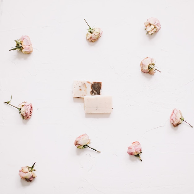 Kompozycja kwiatowa z różowymi różami na białej powierzchni