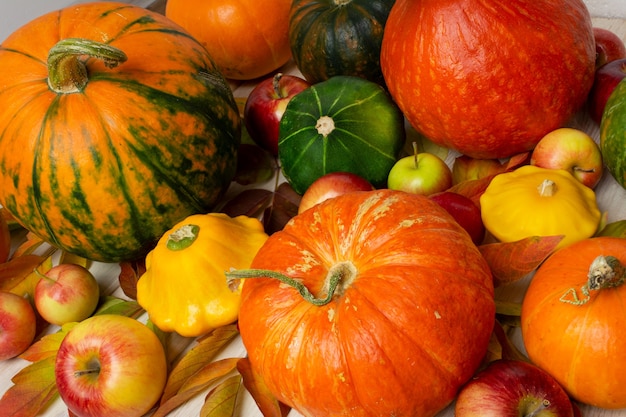 Kompozycja na Święto Dziękczynienia z czerwonymi, zielonymi, pomarańczowymi, pasiastymi dyniami, dyniami, tykwami i jabłkami