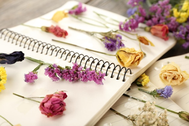 Kompozycja z kwiatami i wysusza rośliny na zeszytach na stole z bliska