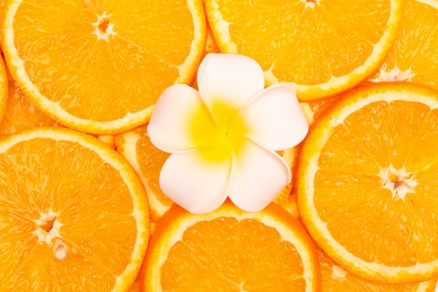 Kompozycja Z Pomarańczowymi Owocami