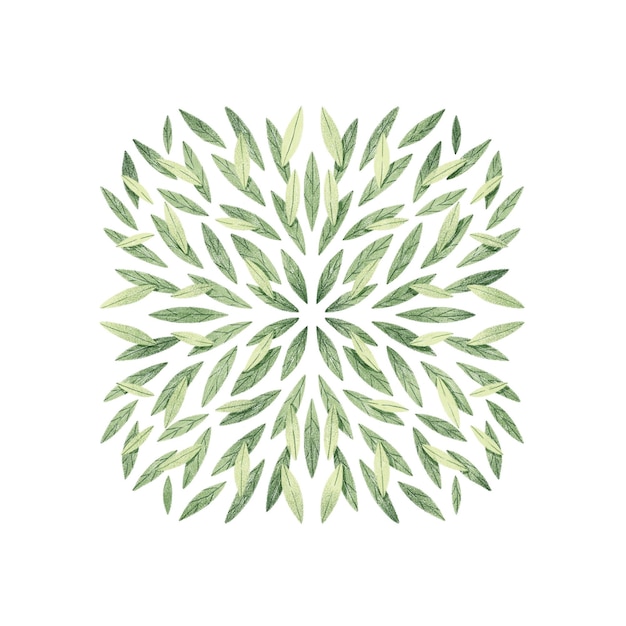 Kompozycja zielonych liści symetryczna Szablon kartki z życzeniami Ilustracja botaniczna