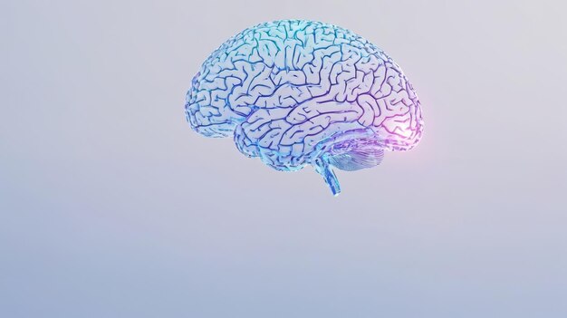 Komputerowy obraz ludzkiego mózgu