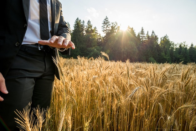 Koncepcja alternatywnego uzdrawiania i mocy z mężczyzną w eleganckim garniturze stojącym na złotym polu pszenicy, trzymającym rękę w geście ochronnym nad uprawą zbóż