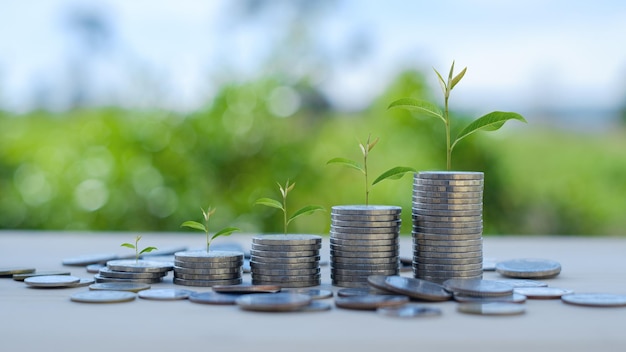Koncepcja biznesu i finansów Oszczędzaj pieniądze na przygotowanie do przyszłości Drzewa rosnące na monecieZamknij się i układaj monety z zielonym tłem bokeh