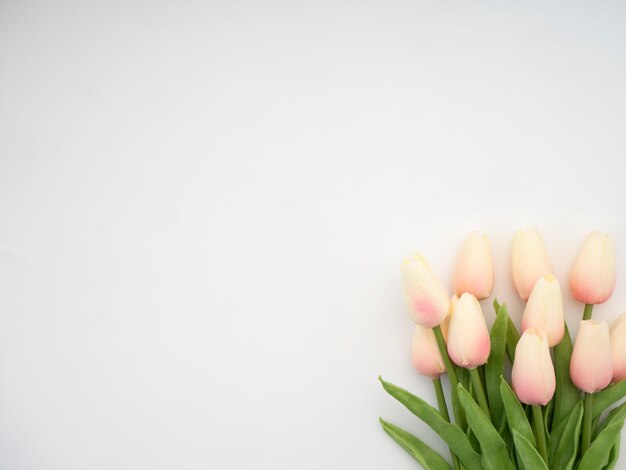 Zdjęcie koncepcja dzień matki. piękny bukiet tulipanów