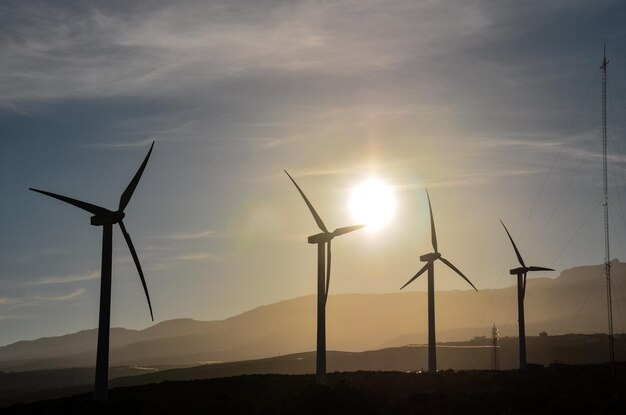 Koncepcja energii odnawialnej Windmil Farm o zachodzie słońca