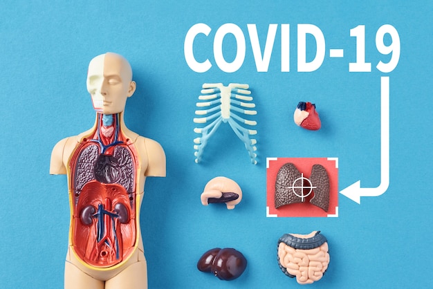 Koncepcja epidemii koronawirusa. Wirus COVID-19 infekuje ludzkie płuca i powoduje zapalenie płuc.