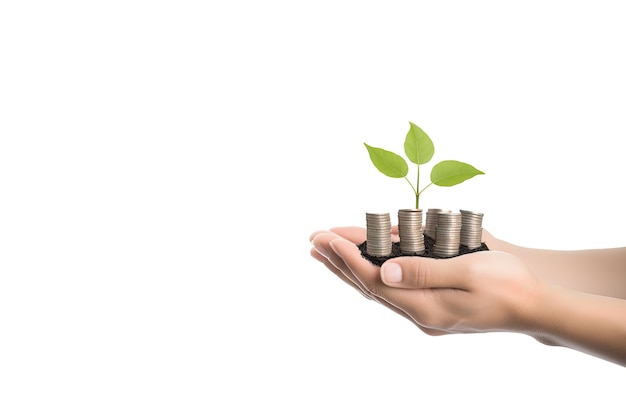 Koncepcja finansowania wzrostu Uprawa roślin na monecie w ręku w celu oszczędzania pieniędzy i inwestycji