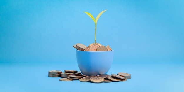 Koncepcja inwestycji akcji finansowania wzrostu oszczędności pieniędzy