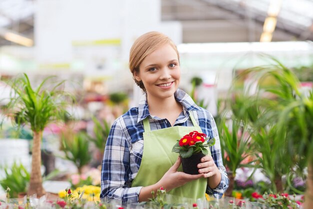 koncepcja ludzie, ogrodnictwo i zawód - szczęśliwa kobieta lub ogrodnik trzymający kwiaty w szklarni