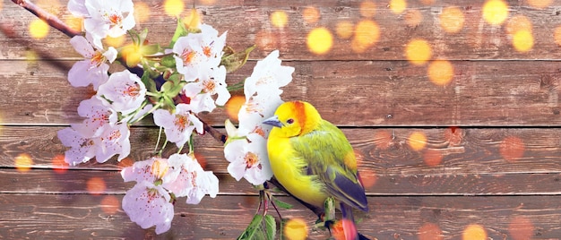 Koncepcja miłośników ptaków i obserwacji ptaków Piękno przyrody przyroda Ornitologia