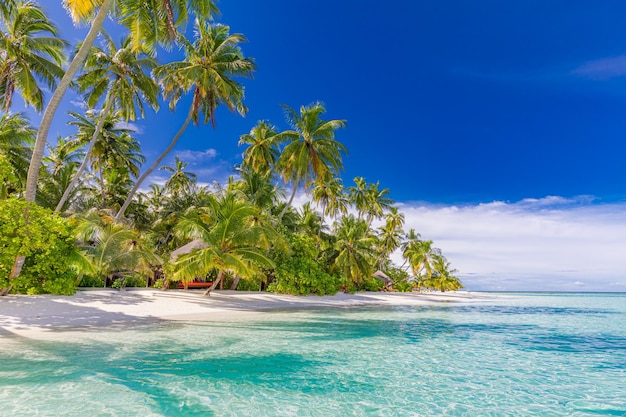 Koncepcja natury plaży. Palmowa plaża laguny słoneczne niebo tropikalna idylliczna rajska wyspa. Egzotyczny krajobraz