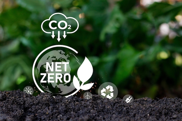 Zdjęcie koncepcja neutralności węglowej i netto zero