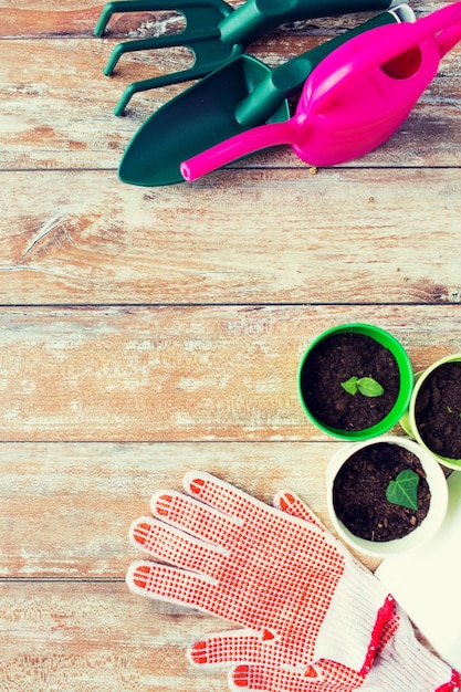 koncepcja ogrodnictwa i sadzenia - zbliżenie sadzonek, narzędzi ogrodniczych i rękawic na stole