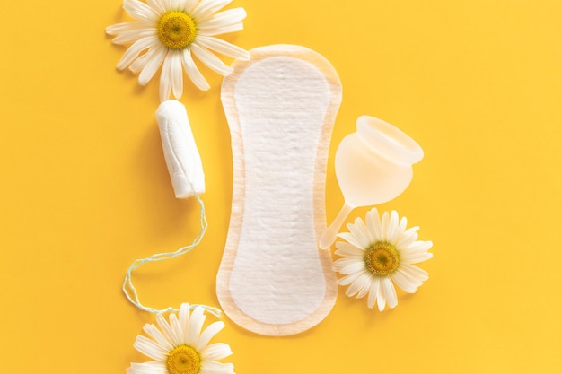 Koncepcja okresu menstruacyjnego Higieniczna biała podkładka dla kobiet Kubeczek menstruacyjny i tampon z kwiatami rumianku Ochrona menstruacyjna Zdrowie kobiet