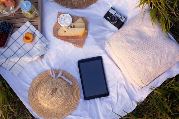 Koncepcja pikniku w parku miejskim podczas letnich wakacji lub weekendów