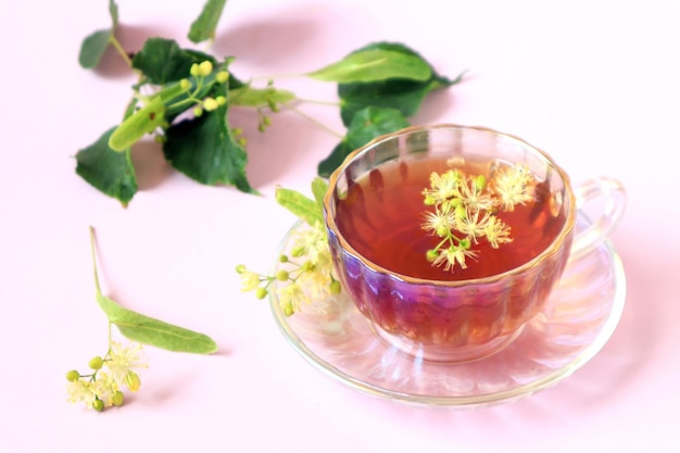 Koncepcja przyjmowania leczniczych herbat ziołowychFiliżanka herbaty z zielonymi gałązkami kwiatów lipy na jasnym tle widok z boku