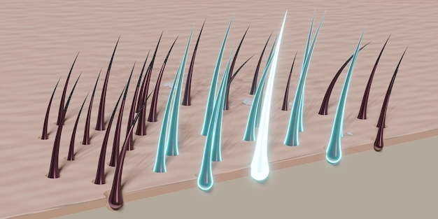 Koncepcja regeneracji mieszków włosowych ilustracja 3D