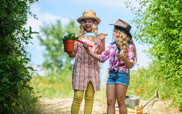 Koncepcja rolnictwa ekologicznego. Dziewczyny z narzędziami ogrodniczymi. Siostry pomagają w gospodarstwie. W drodze do rodzinnego gospodarstwa. Koncepcja rolnictwa. Urocze dziewczyny w kapeluszach będą sadzić rośliny. Rodzeństwo dzieci bawiące się na farmie.