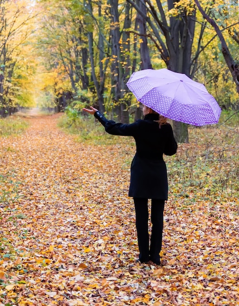 Koncepcja sezonu jesiennego. Samotna kobieta z jasnym parasolem w jesiennym lesie Widok z tyłu