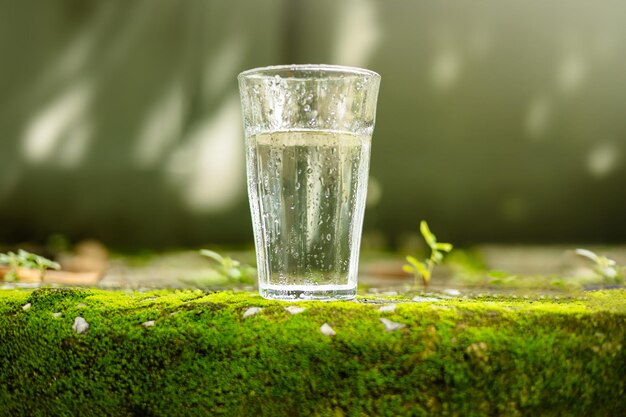 Zdjęcie koncepcja światowego dnia wody napój wodny ze szkła świeżość i zimno przez zielony mech i naturalny poranek