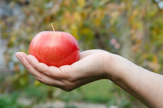 Koncepcja zdrowej żywności. Kobiecej ręki trzymającej czerwony appl na zielonym tle naturalnego.