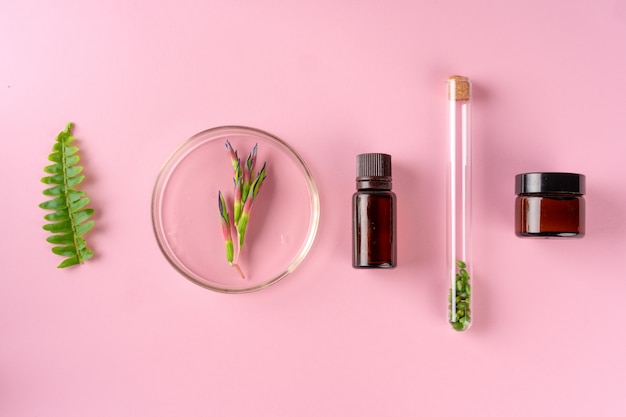 Zdjęcie koncepcja zdrowia, pielęgnacji skóry i urody. kosmetyczni zbiorniki na różowym tle z rośliną opuszczają