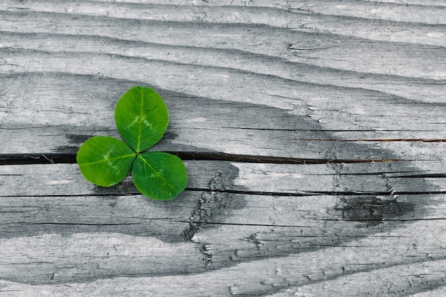 Koniczyny Na Grunge Stare Drewniane Wieku, Liście Shamrock, Dzień świętego Patryka