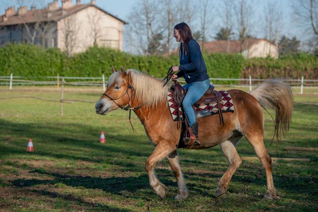 Konie biegają swobodnie po prerii