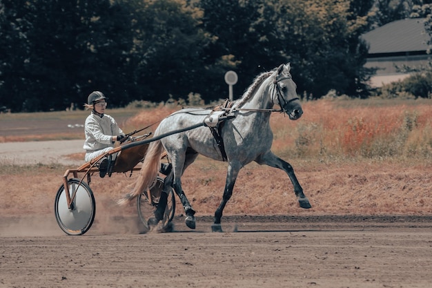 Konie ras kłusujących Konie i jeźdźcy Plakaty o tematyce jeździeckiej w obróbce artystycznej