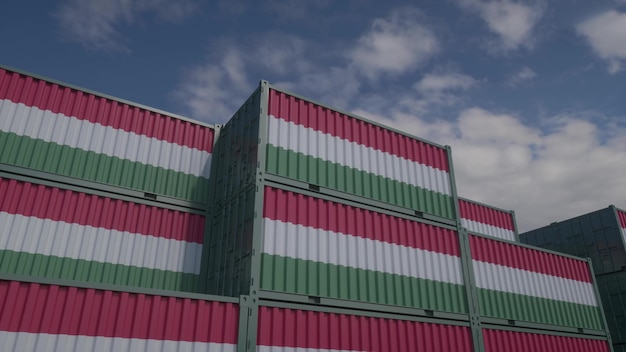 Zdjęcie kontenery z flagą węgier znajdują się na terminalu kontenerowym węgry koncepcja eksportu lub importu ilustracja 3d