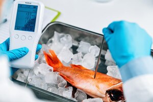 Zdjęcie kontrola jakości żywności inspekcja ryb morskich pomiar stężenia metali ciężkich
