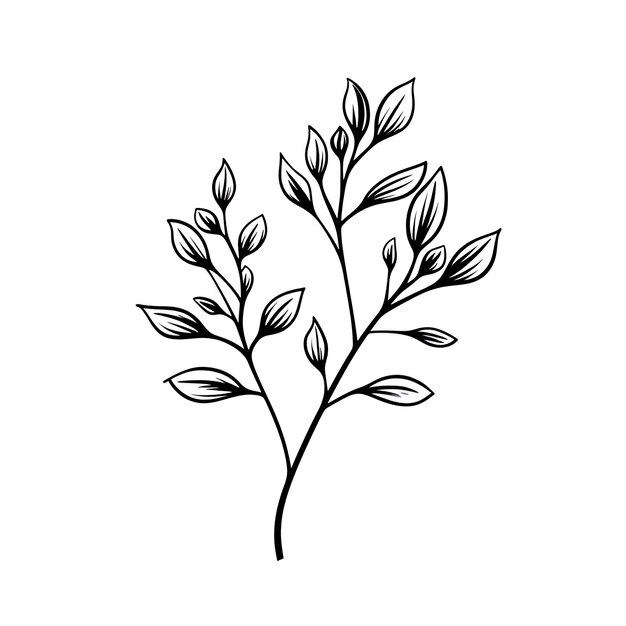 Zdjęcie konturowy projekt liścia, który ma gałęzie w stylu uproszczonej kreskówki